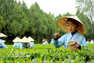 一个人打一个队！迪文岑佐命中7记三分 猛龙全队今日三分32中6